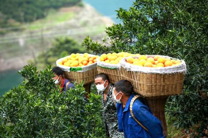 1587621911250287.jpg http://5b0988e595225.cdn.sohucs.com/images/20200420/ab5b4ab69bbe4499aee99160be7e3e5d.jpeg